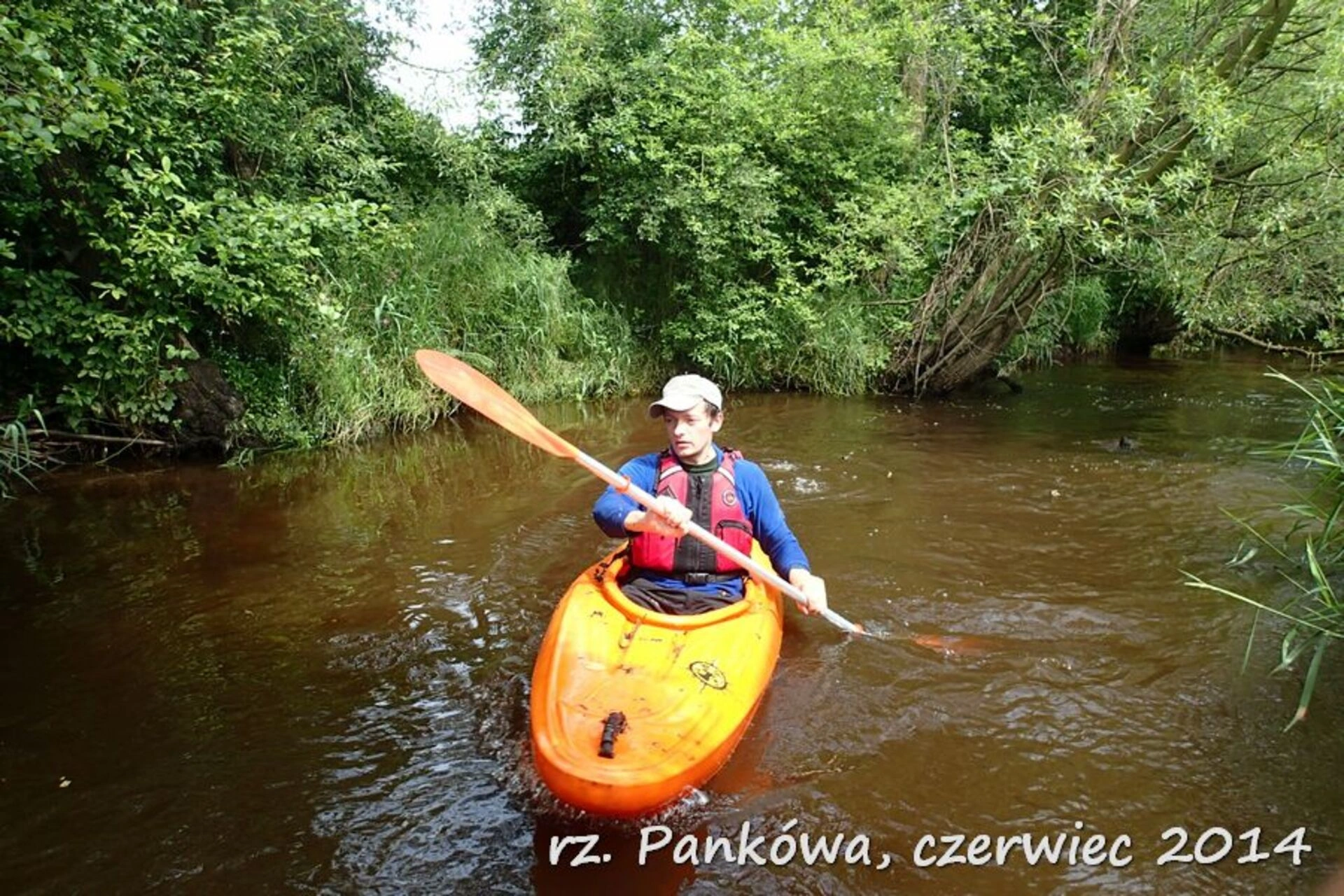 Kajaki Pankówka